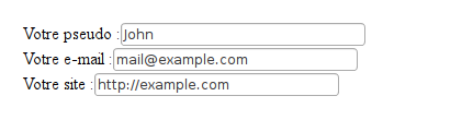 formulaire sans css