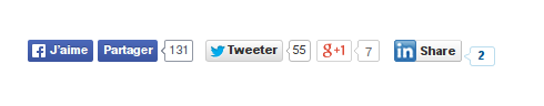 capture d’écran des plugins des réseaux sociaux
