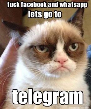 lolcat-telegram