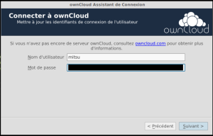 Entrez ensuite vos identifiants